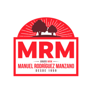 logo mrm